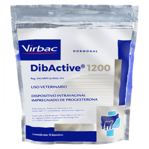 DibActive 1200 / 10 Dispositivos