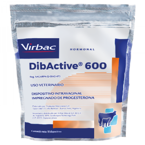 DibActive 600 / 10 Dispositivos